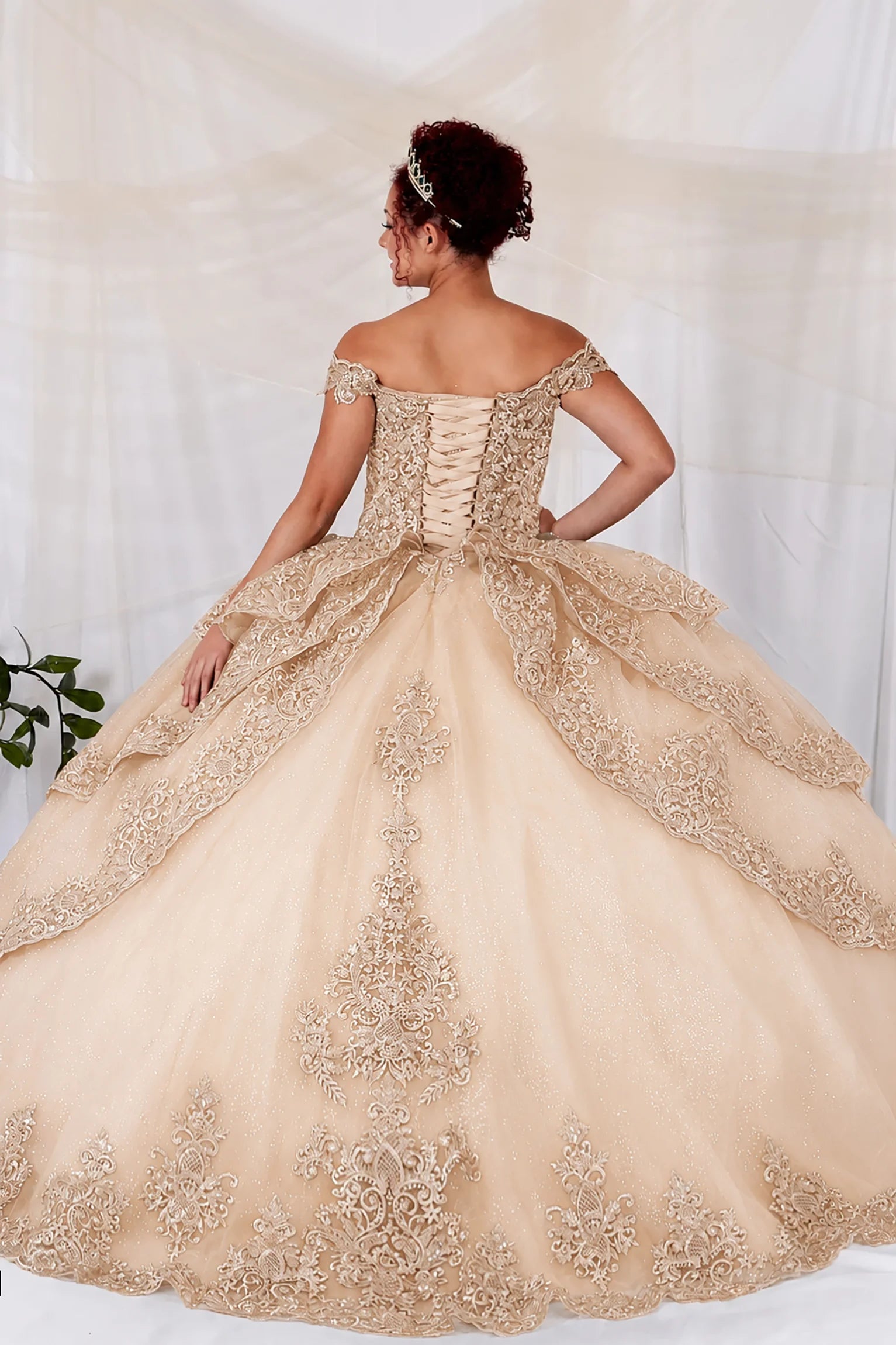 quinceanera ball gown in champagne beige with intricate lace and bead embroidery and lace up back