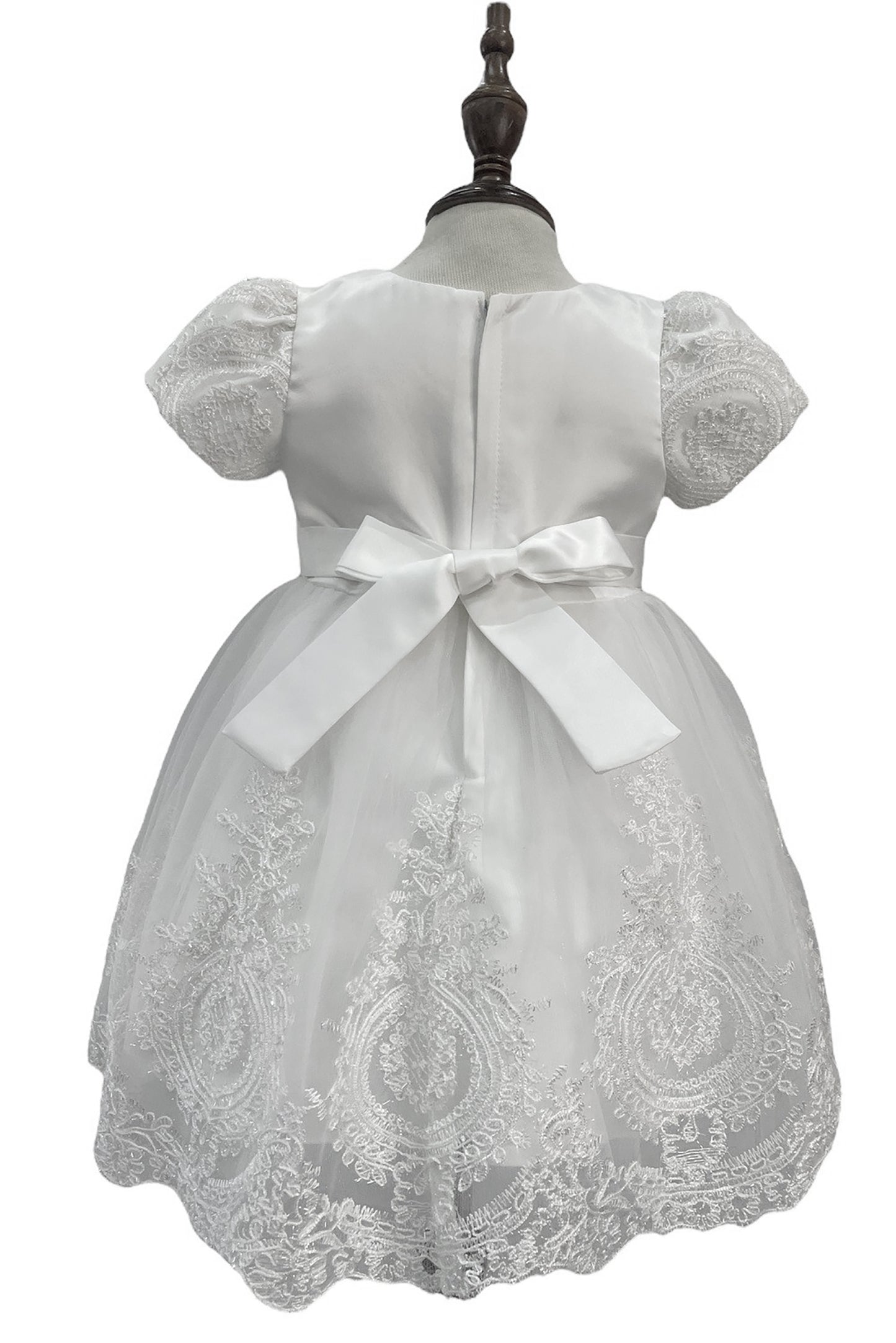 White Baby Elegant Embroidered Top with Sleeves Tulle Dress - back view