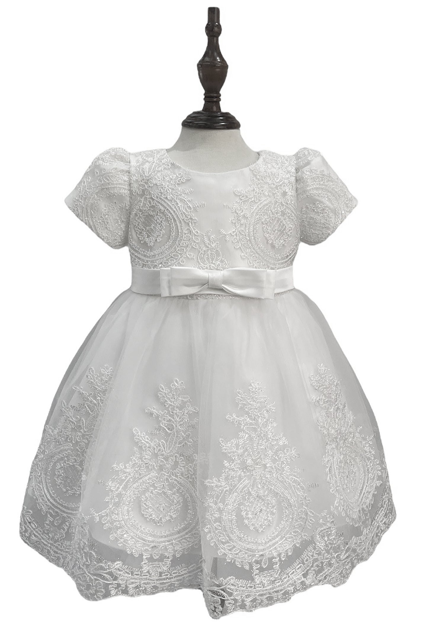 White Baby Elegant Embroidered Top with Sleeves Tulle Dress - front view