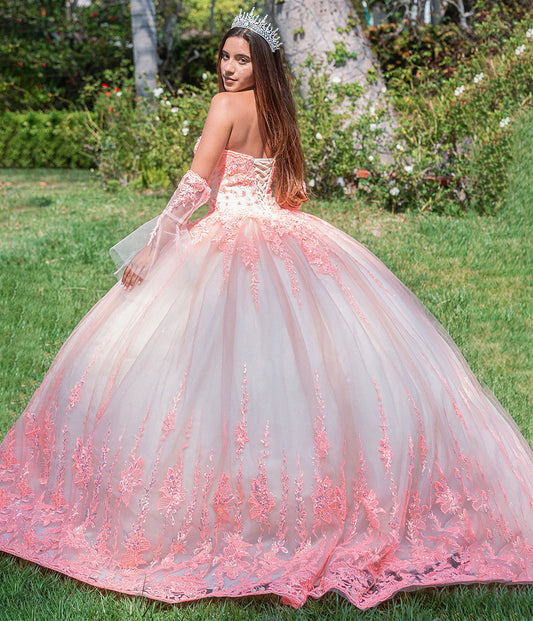 Orange Champagne Jewel Sequin Sweetheart Mesh Quince Ball Gown w/ Long Sheer Sleeves back